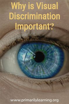 an eye with the words why is visual discrimination important? on top of it