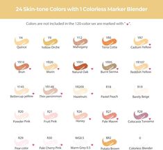 24 skin - tone colors with colorless marker blender