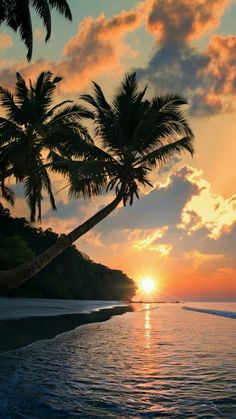 the sun is setting behind two palm trees on the beach in front of some water