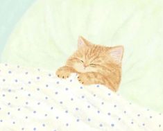 an orange cat sleeping on top of a white and blue polka dot bed sheet with its eyes closed