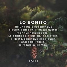 a pine tree with the words in spanish