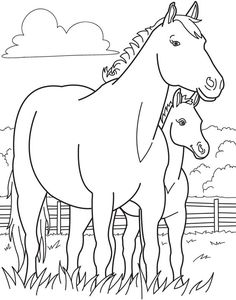 a horse and her foal standing in the grass coloring pages for kids printable