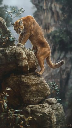 a large cat standing on top of a rocky cliff next to trees and bushes in the background