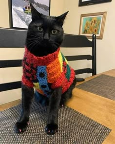 a black cat sitting on top of a wooden table wearing a colorful knitted sweater