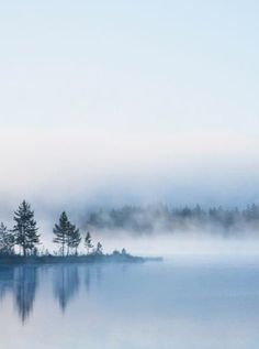 fog is covering the water and trees in the distance on a clear, blue day