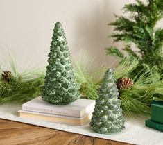 two small christmas trees sitting on top of books next to evergreens and pine cones