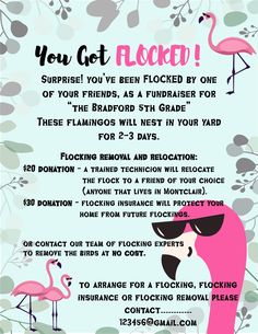 a pink flamingo flyer with the words you got flocked