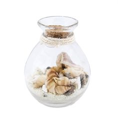 Beachcombers Coastal Life Sand & Shell Filled Potion Bottle Pineapple Christmas, Honey Cookies, Music Ornaments, Kukui Nut, Coastal Life, Serving Table, Potion Bottle, Cork Stoppers, Macadamia Nuts