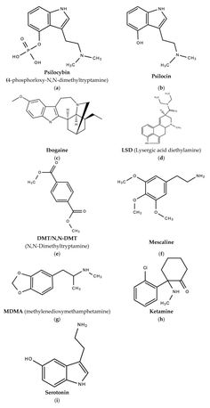 the diagram shows several different types of structural structures and their corresponding names are shown below