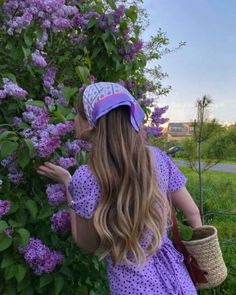 a girl in a purple dress and hat picking lilacs from a bush at sunset