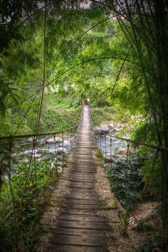 a wooden bridge over a river surrounded by trees