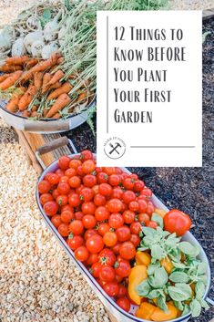 two trays filled with vegetables and the words 12 things to know before you plant your first garden