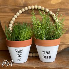 two potted plants with words written on them