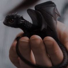 a person holding a small black dragon in their hand