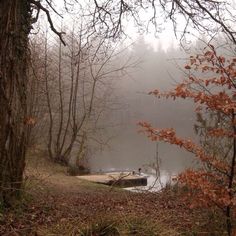 a boat is sitting on the shore of a lake surrounded by trees and foggy skies