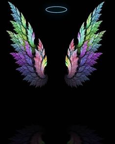 an image of colorful wings on a black background