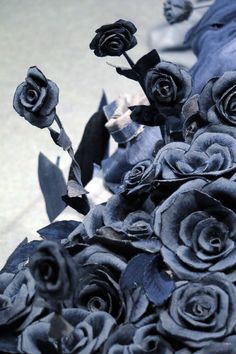 a bunch of black roses sitting next to each other