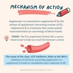 the mechanism of action in an acne - prone area is shown with text on it