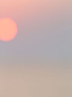 two birds are standing on the beach at sunset, with one bird in the foreground