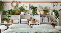 a bed sitting under a green light next to a book shelf filled with books and plants