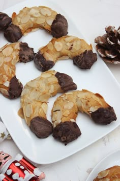 some cookies are on a white plate next to pine cones