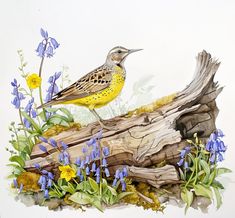 a watercolor painting of a bird sitting on top of a piece of wood surrounded by blue and yellow flowers