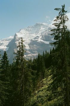 the mountain is covered in snow and surrounded by trees