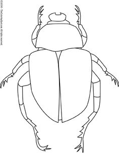 a drawing of a bug with long legs