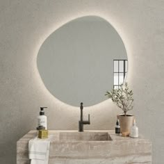 a bathroom sink with a mirror above it next to a potted plant and soap dispenser