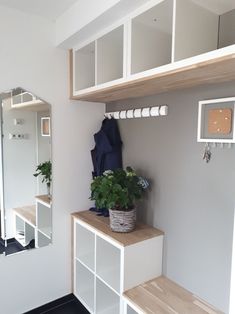 a room with some shelves and plants on it