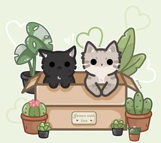 two cats sitting in a cardboard box surrounded by cacti and succulents