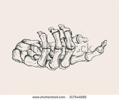 hand drawn bones in black and white on a beige background stock photo, skeleton drawing, bone