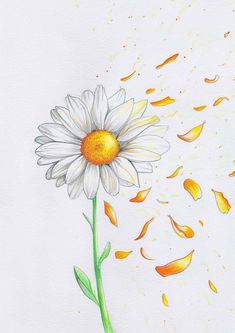 a drawing of a white flower with yellow petals and leaves falling from the sky behind it