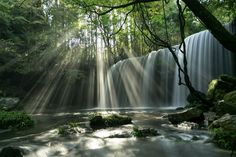 the sun shines brightly through the trees and water cascading over rocks in front of a waterfall