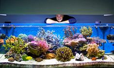 a man is looking over an aquarium tank