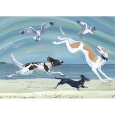 two dogs running on the beach with seagulls flying above them and birds in the sky