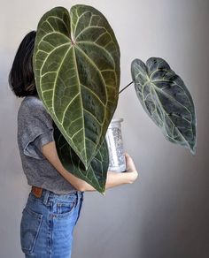 a woman holding a potted plant in front of her face with the leaves on it