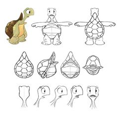 how to draw a turtle step by step