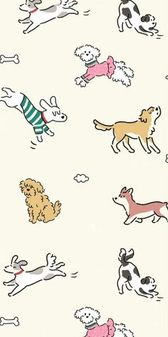 an image of dogs playing with each other on a white wallpapered room background