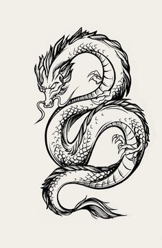 a black and white drawing of a dragon with its tail curled in the shape of a letter