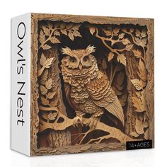 an owl is sitting on a tree branch carved into a wooden box that says owls nest