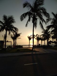 Palm trees in front of a beach with the sun rising behind the trees. Good Morning, Places To Visit