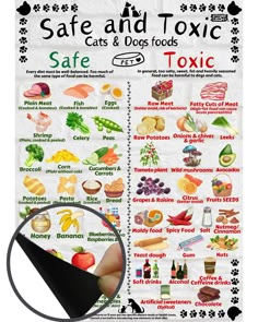 PRICES MAY VARY. Comprehensive Information: The magnetic board provides comprehensive information about safe and toxic foods for both dogs and cats. Vet-Approved Content: The information presented is vet-approved, offering pet owners a reliable resource for their pets' nutritional needs. Magnetic: This item has a magnetic reverse which allows you to display it on the fridge. Alternatively, you can put it on the wall or another surface with some stickers or white tag. Durable Material: Made with Toxic Foods For Dogs, Dogs Things, Foods For Dogs, Pet Essentials, Raw Potato, Cat Essentials, Toxic Foods, High Fat Foods, Healthy Dog Food Recipes