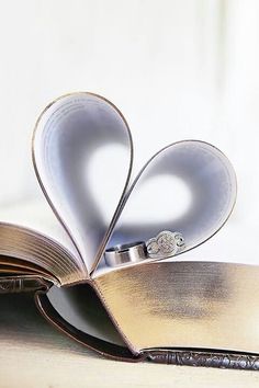 an open book with a ring on top of it and two hearts in the middle