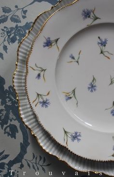 two white plates with blue flowers on them