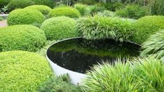 a garden filled with lots of green plants and water surrounded by shrubbery on either side of the pond