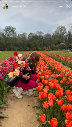 a woman kneeling down next to a field full of orange and pink flowers with trees in the background