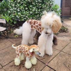 two stuffed giraffes are standing next to each other on the ground outside