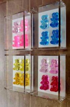 four clear boxes with different colored teddy bears in them on the wall next to each other