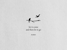 two birds flying in the sky with a quote written on it that says let it come and then let it go